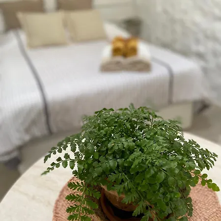 Apartamento Casa Kira, *